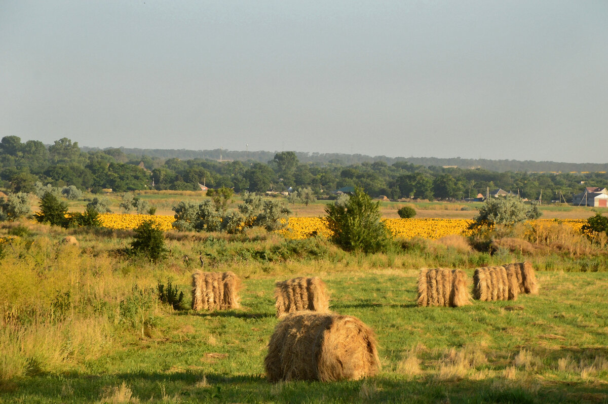 Сенокосная пора... - Надежда Куркина 