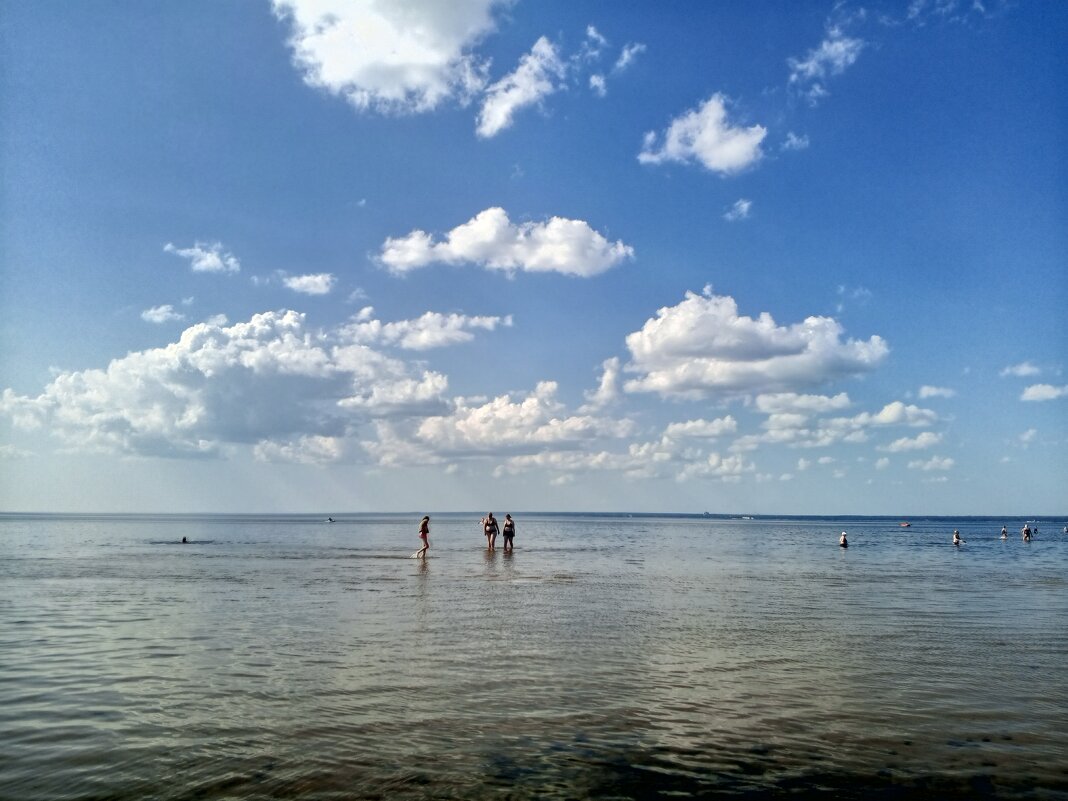 Залив - Сапсан 