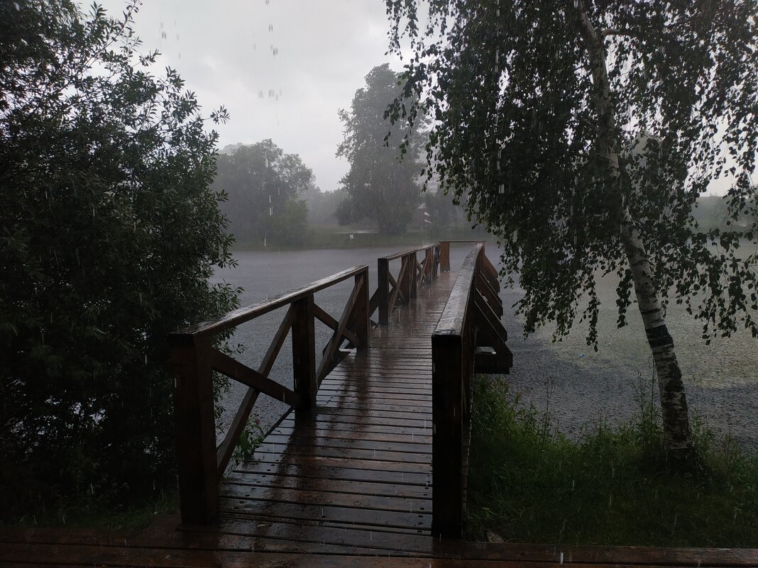 Как из ведра, даже как из многих ведер - Андрей Лукьянов