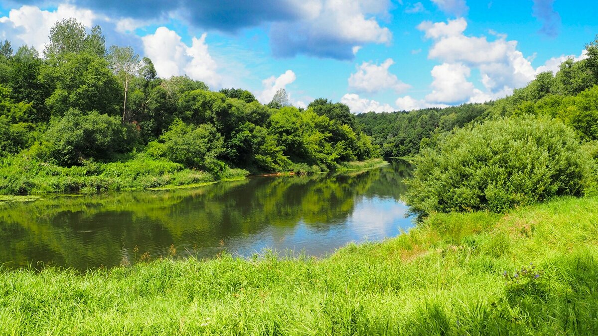 О Днепре (репортаж из поездок по области). - Милешкин Владимир Алексеевич 