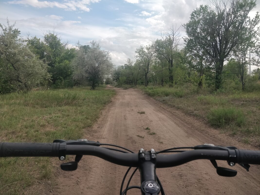 Дорога... - Андрей Хлопонин