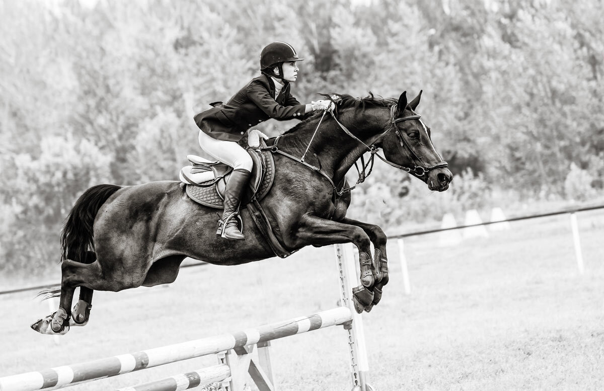 Конкур - SanSan 