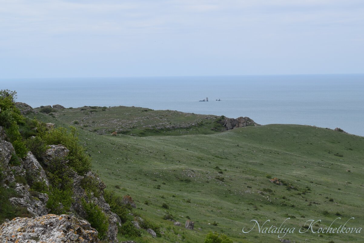 Природа Крыма - Amazing Cosmea