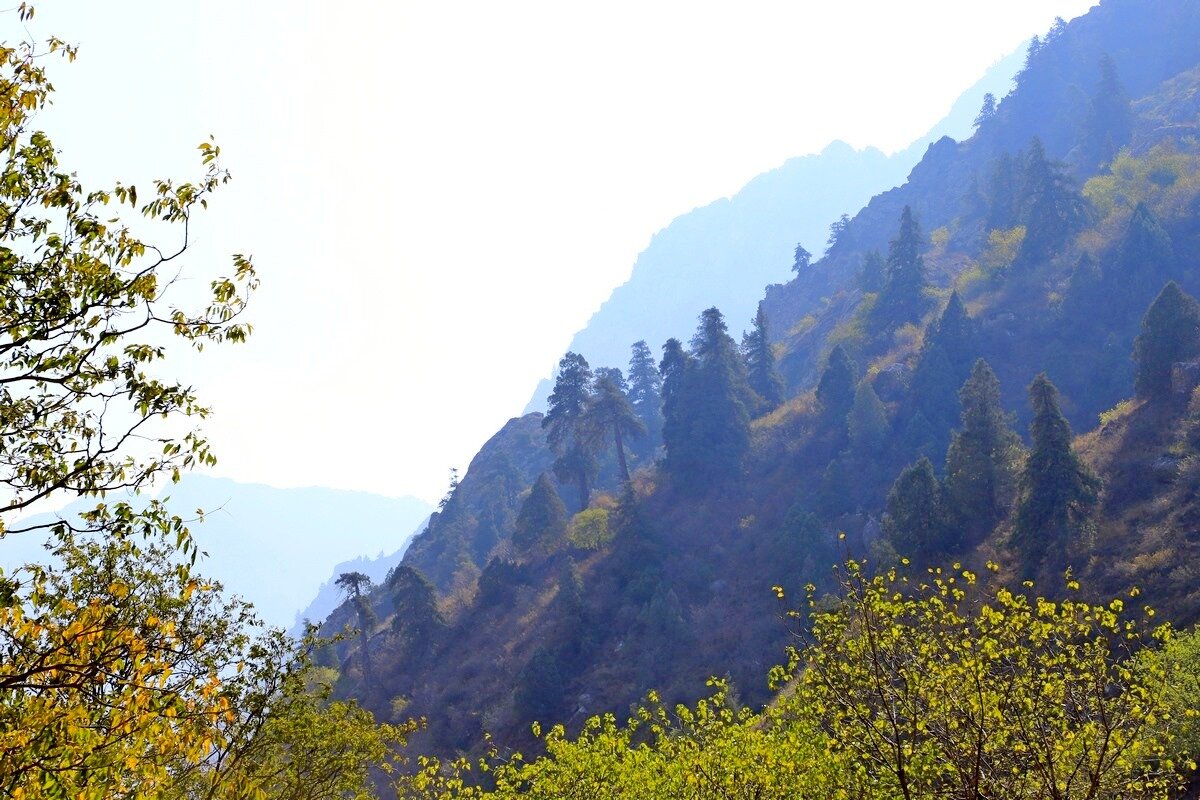 ПО НИЗАМ. - Виктор Осипчук