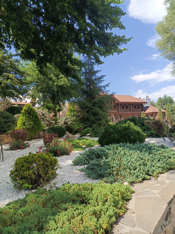 Парк Лога - Татьяна Пальчикова