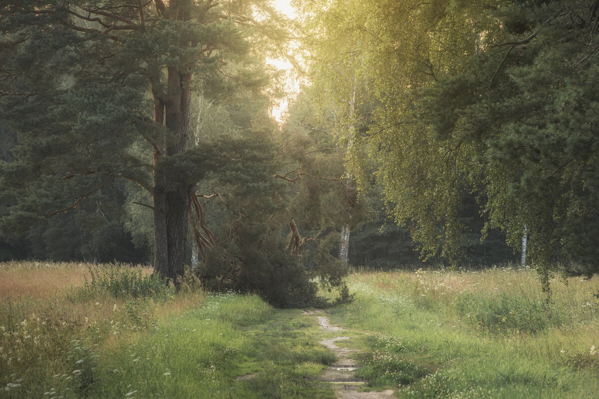 На рассвете - Максим Вышарь