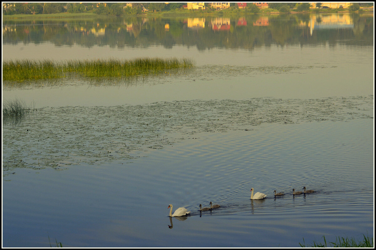 Утро.... - Aleksandr Gal
