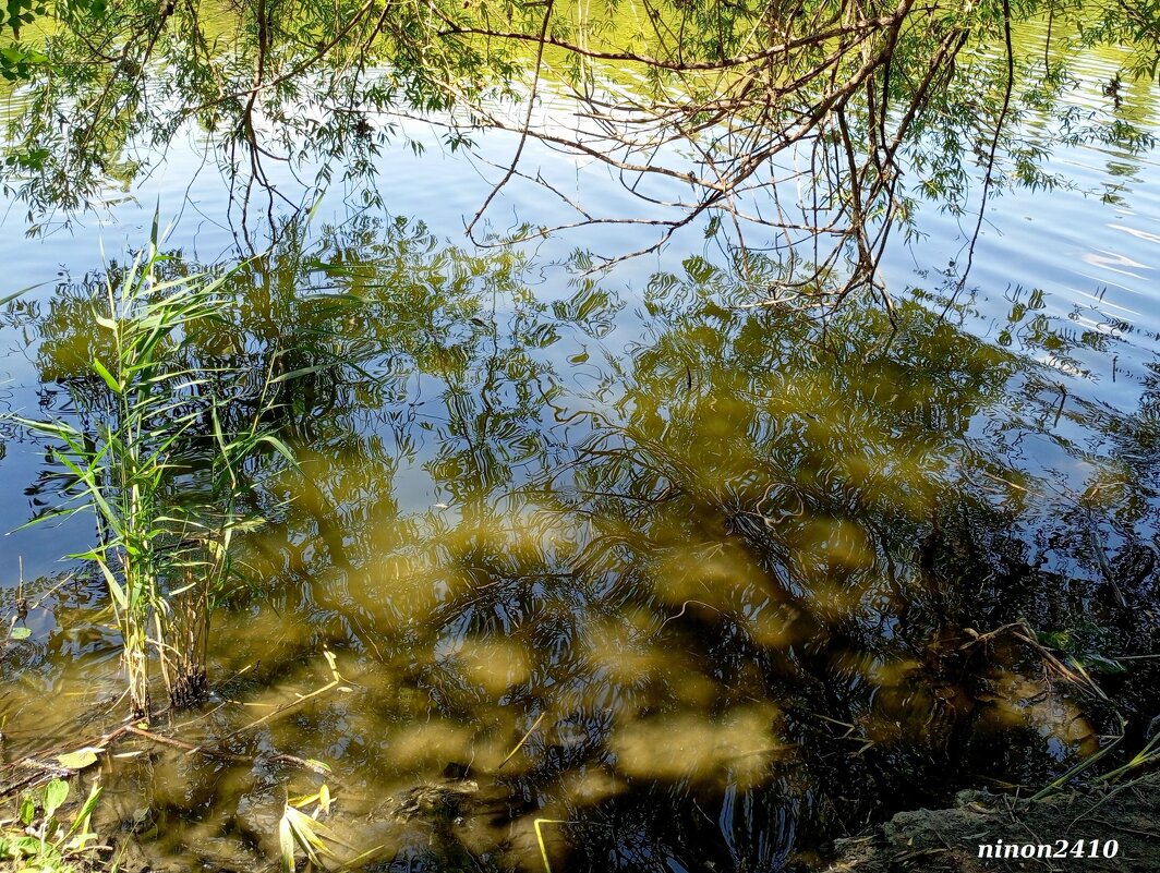 Свет и тени в отражениях... - Нина Бутко