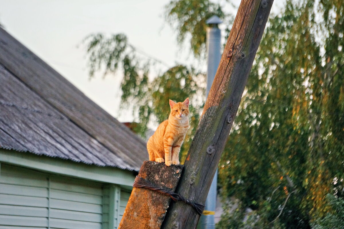 Всё под контролем - Валерий Судачок Всё под контролем - Валерий Судачок
