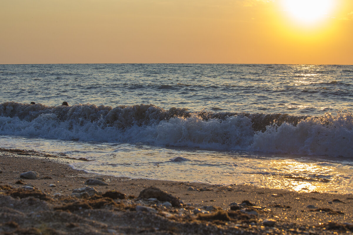 Прибой - Светлана Тихонина
