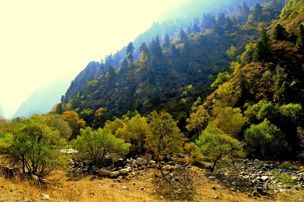 ПО НИЗАМ. - Виктор Осипчук