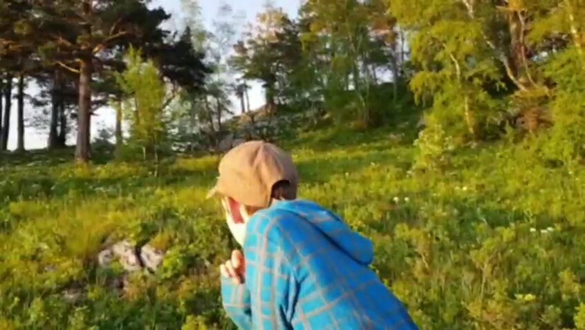 ЛАГОНАКИ - Tata Wolf