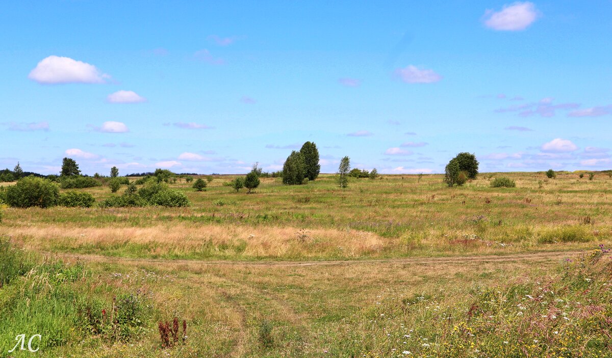 Зауралье - Любовь Сахарова