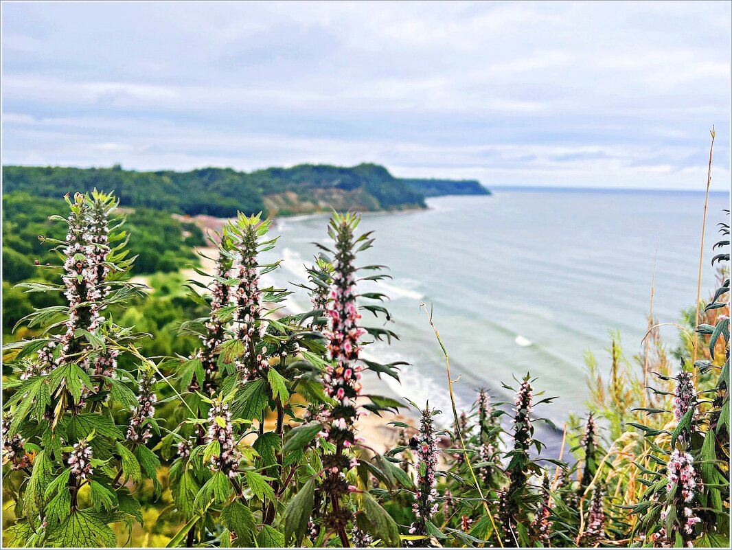 Лето. Утро. Бухта. - Валерия Комова Лето. Утро. Бухта. - Валерия Комова