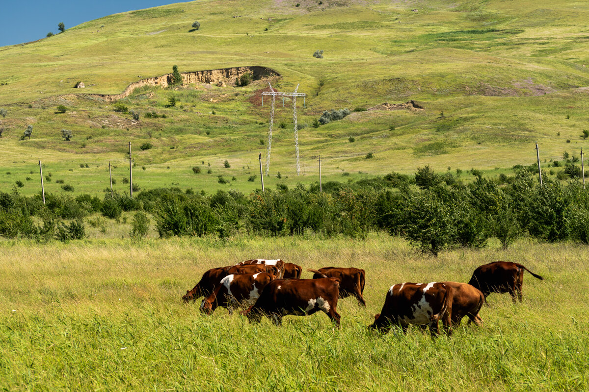 Окрестности - Игорь Сикорский