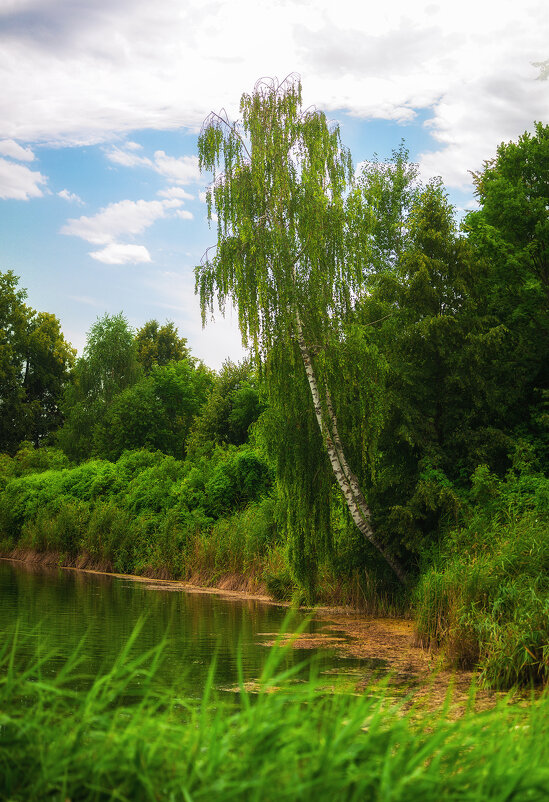 у воды в белом наряде - Николай Колобов у воды в белом наряде - Николай Колобов