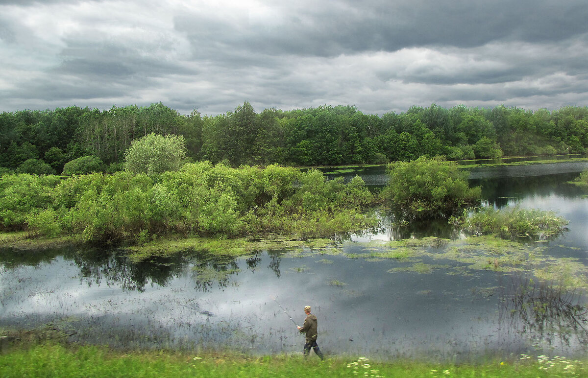 Река Веронда - Александр Ильчевский Река Веронда - Александр Ильчевский