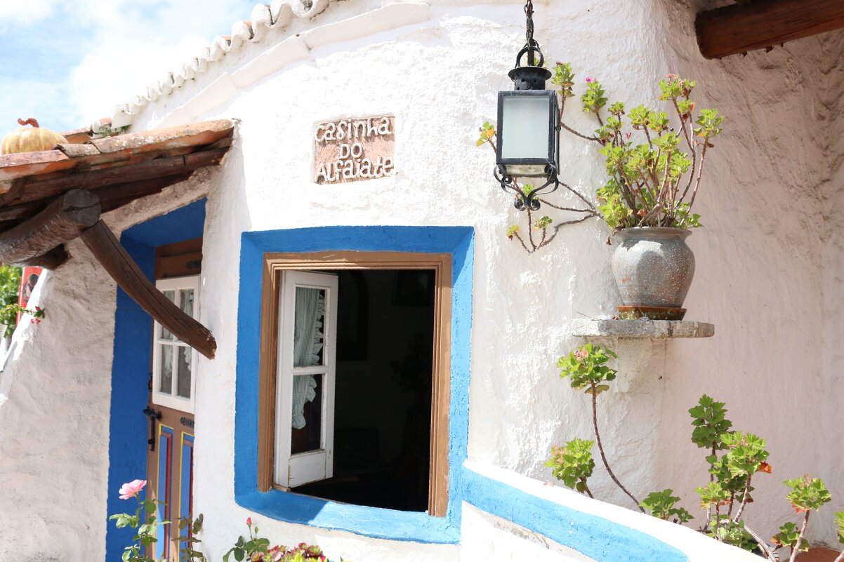 Деревенька Жозе Франку - Ольга 