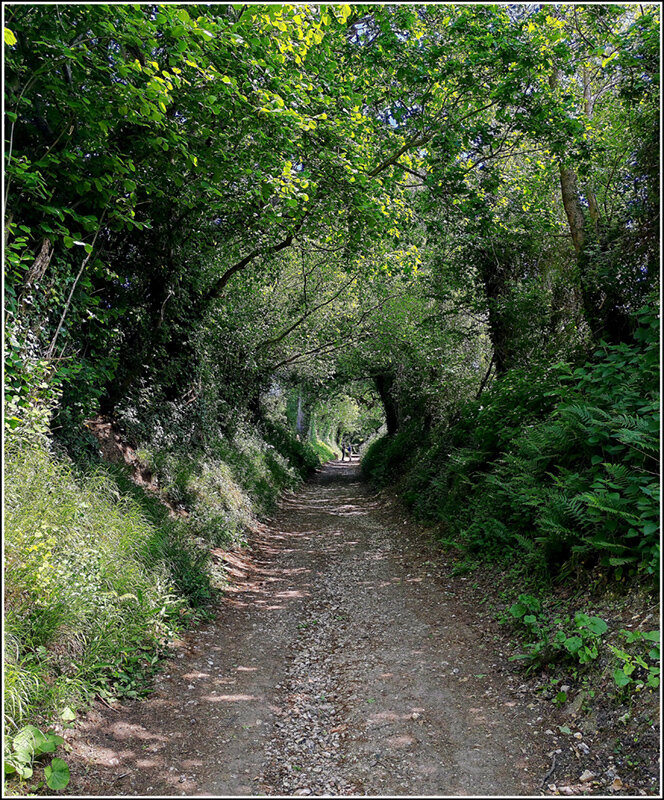 Дорога в лето - Aleksandr Gal