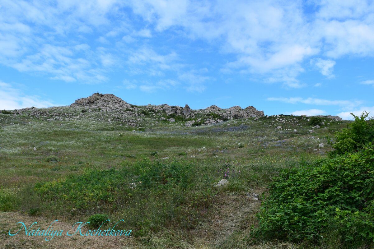 Природа Крыма - Amazing Cosmea
