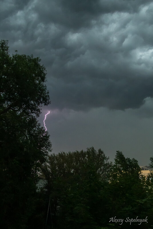 Мощь природы - Алексей Сопельняк Мощь природы - Алексей Сопельняк