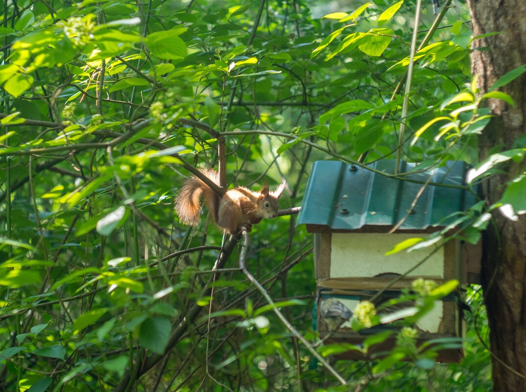 ___ - Yuriy V ___ - Yuriy V