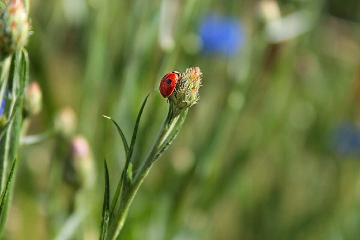 ... - Наталья 