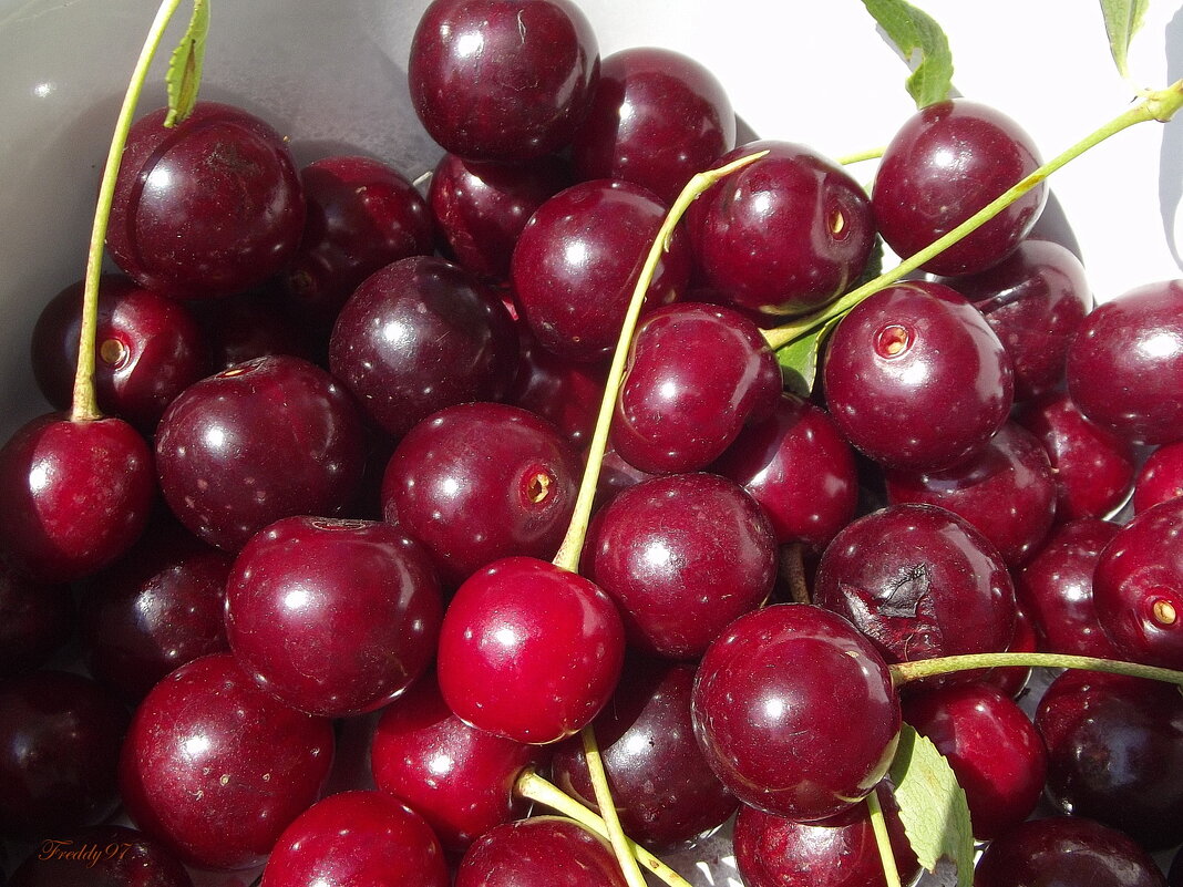 Урожай на варенье... - Freddy 97