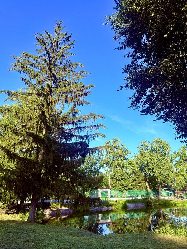 Природа - Iren Brilliance