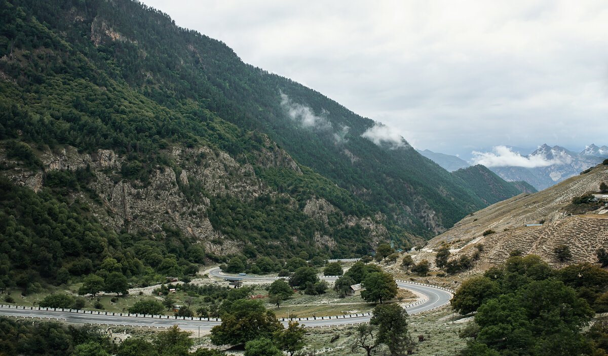 Гимры - Лилия . Гимры - Лилия .