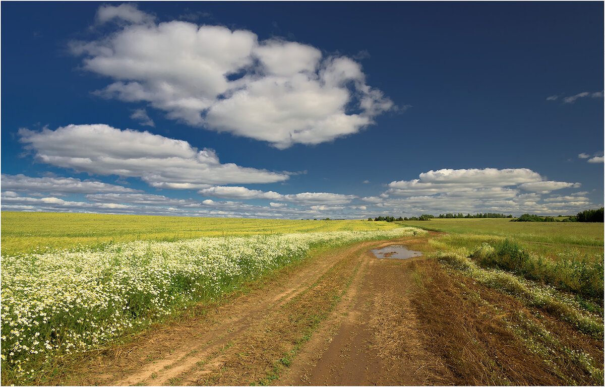 Летний этюд - Валентин Котляров
