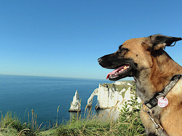 Мира - А  И М