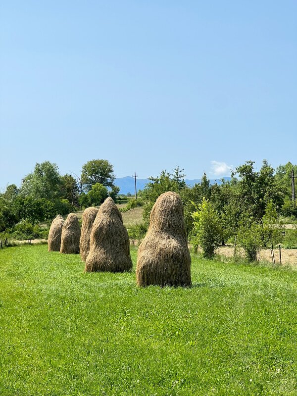 Стога - А  И М