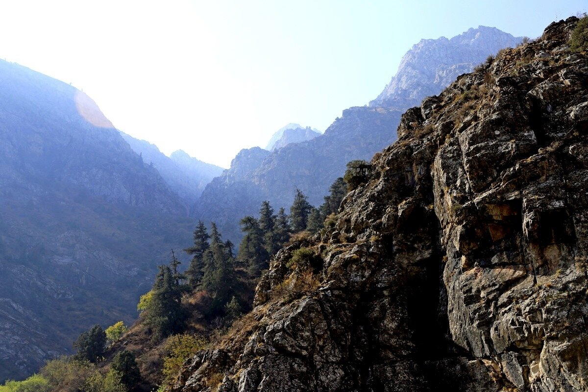 ПО НИЗАМ. - Виктор Осипчук