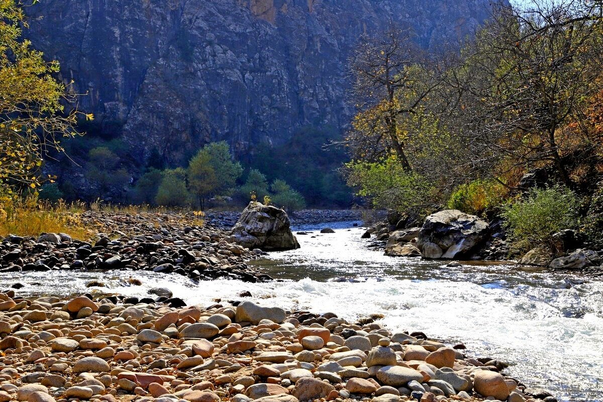 ПО НИЗАМ. - Виктор Осипчук