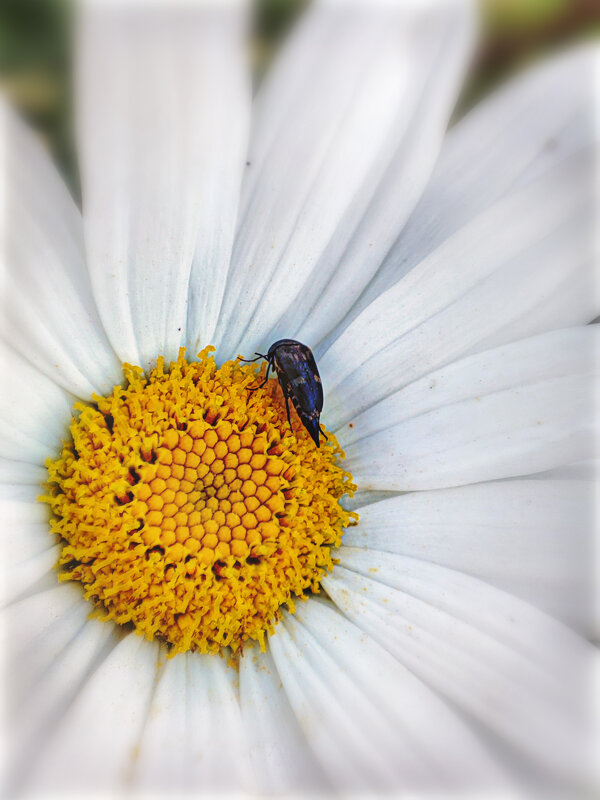 Мама сказала: "Стоять в углу и думать о своем поведении". - AZ east3