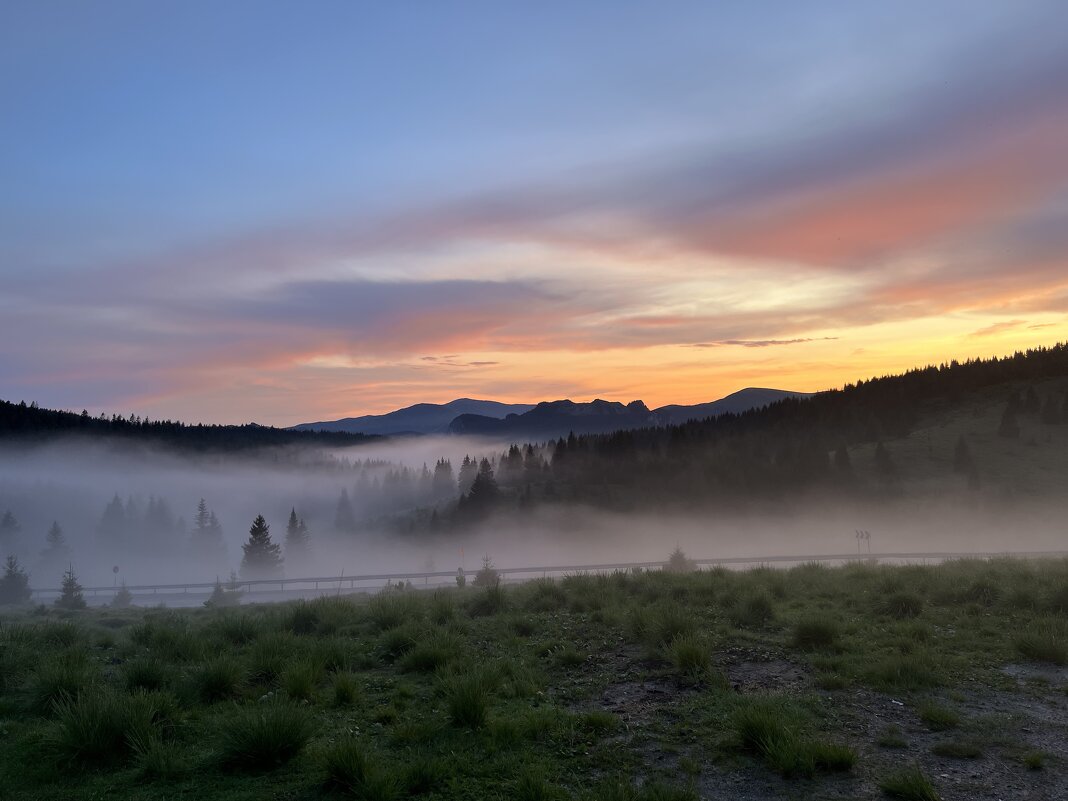 Туман - А  И М