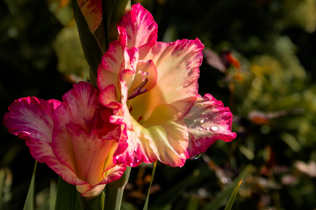 Умылся и похорошел. - Игорь Викторов