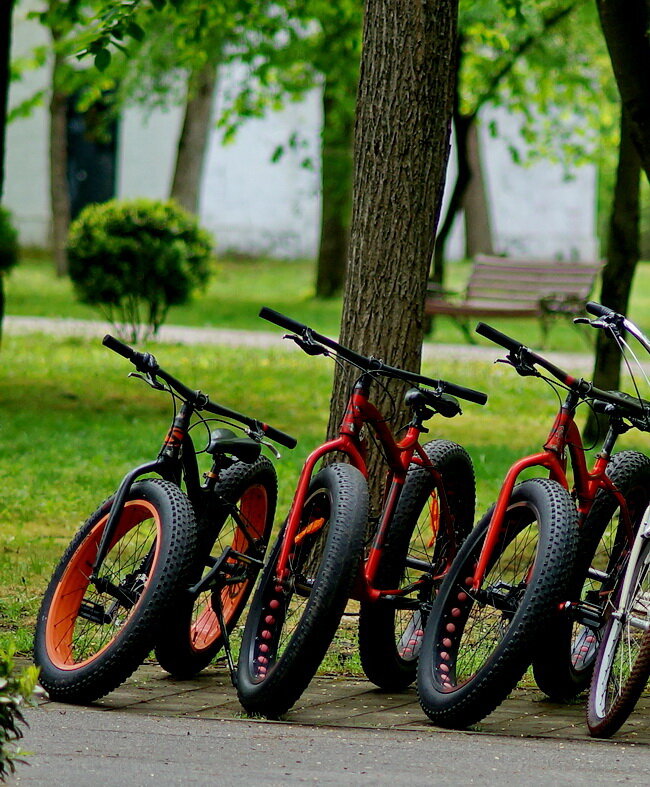 В парке ожидание клиентов... - Николай Саржанов