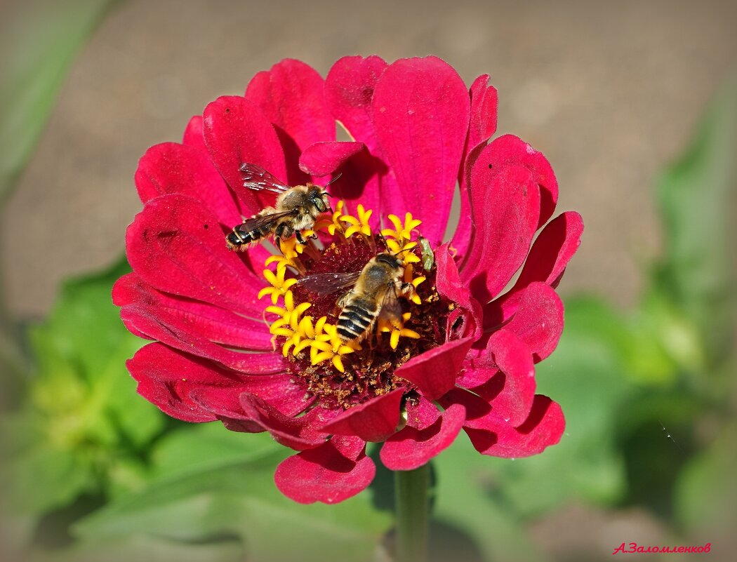 О сюжетах июля - Андрей Заломленков