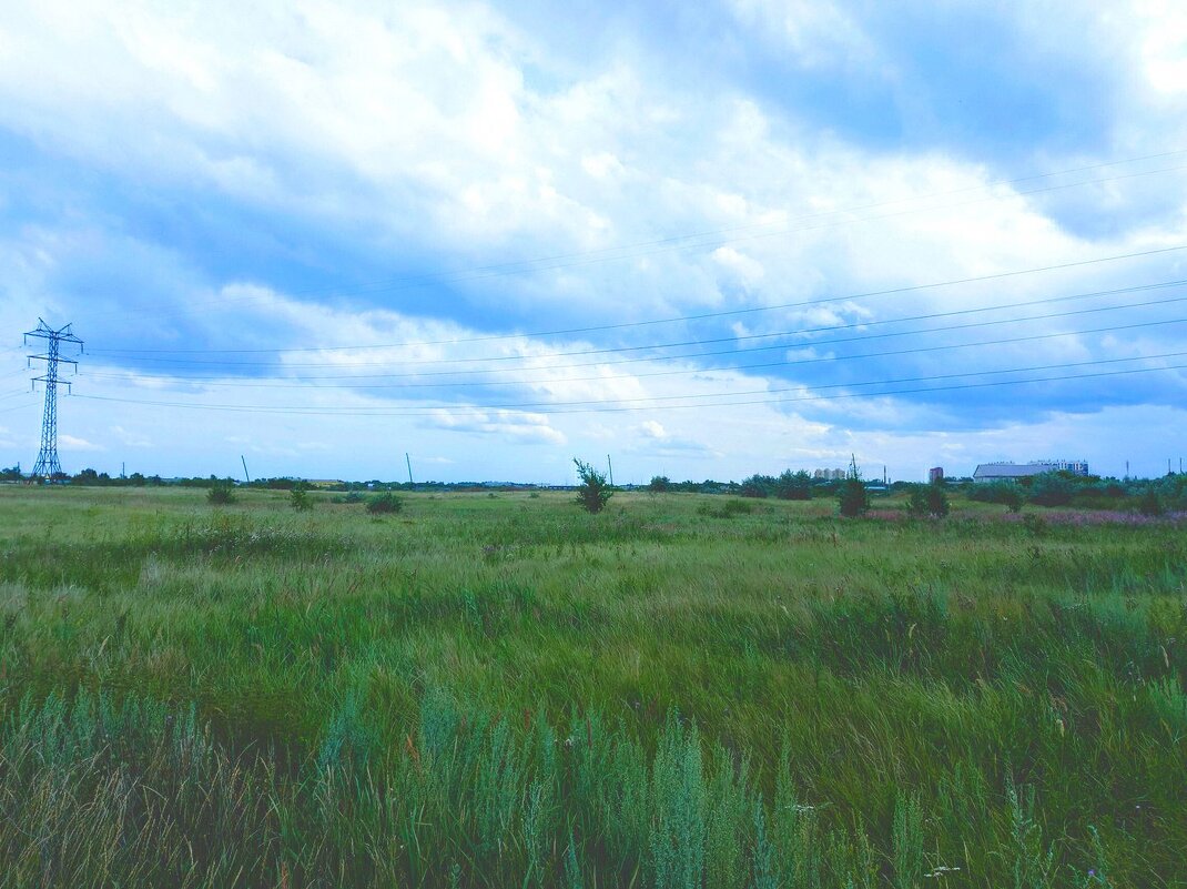 Летнее поле. - Игорь Солдаткин