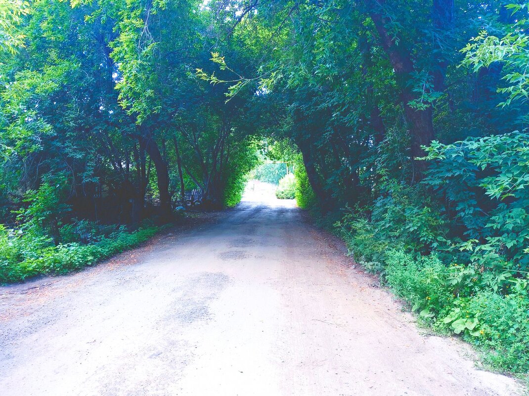 Проход, а куда? - Игорь Солдаткин