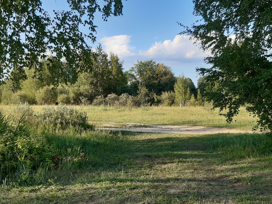 Июль - середина лета - Галина Минчук