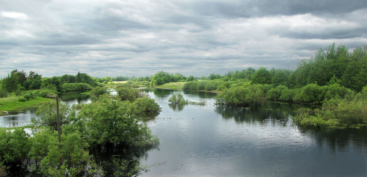 Река Видогощь - Александр Ильчевский Река Видогощь - Александр Ильчевский