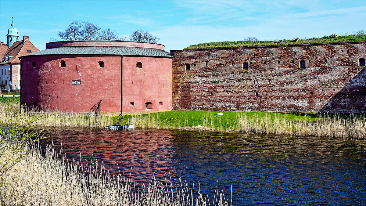Городская жизнь диких лебедей - Alexandеr P