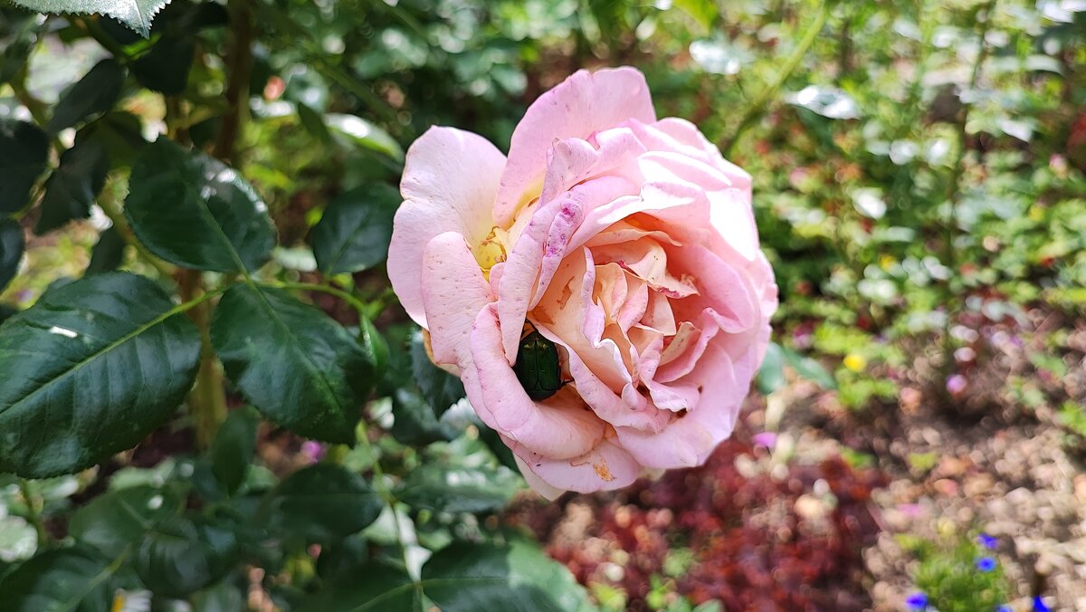 ,,, - Сергей Тимоновский