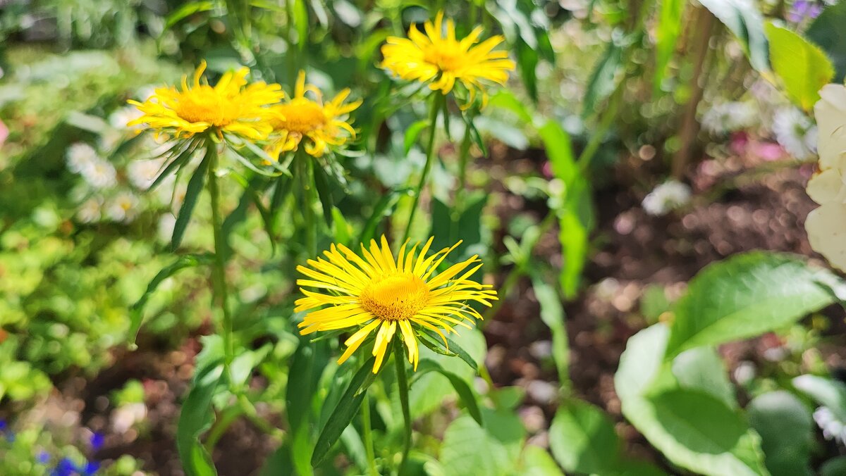 ,,, - Сергей Тимоновский