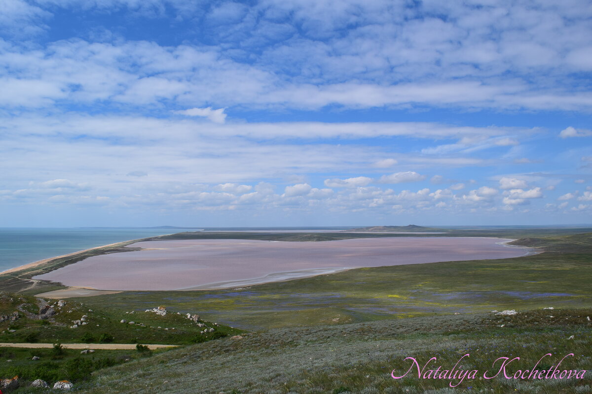 Природа Крыма - Amazing Cosmea