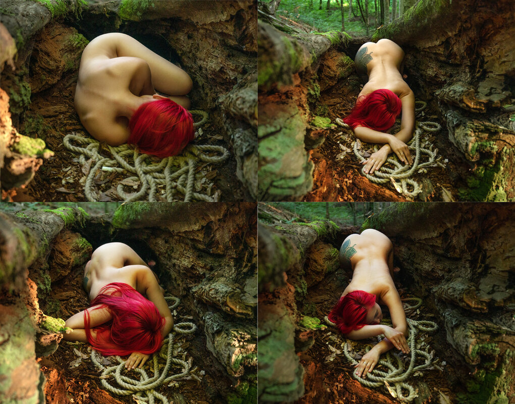 Серия - Дмитрий Смиренко