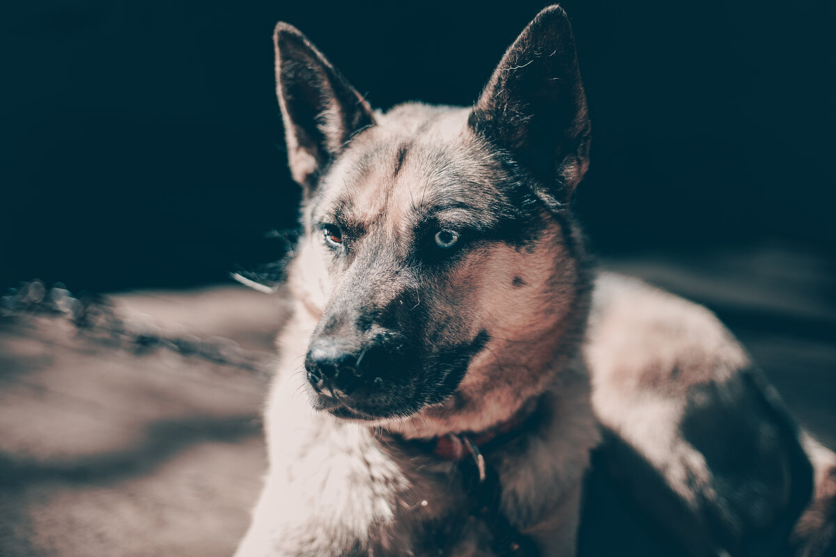 Левый поворотник вкл - Aleksey Zaikin